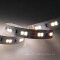 Color Temperature Adjustable 2835 LED Strip